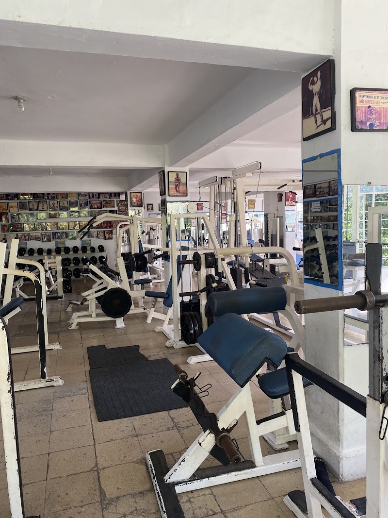 Alex ´ D Gym