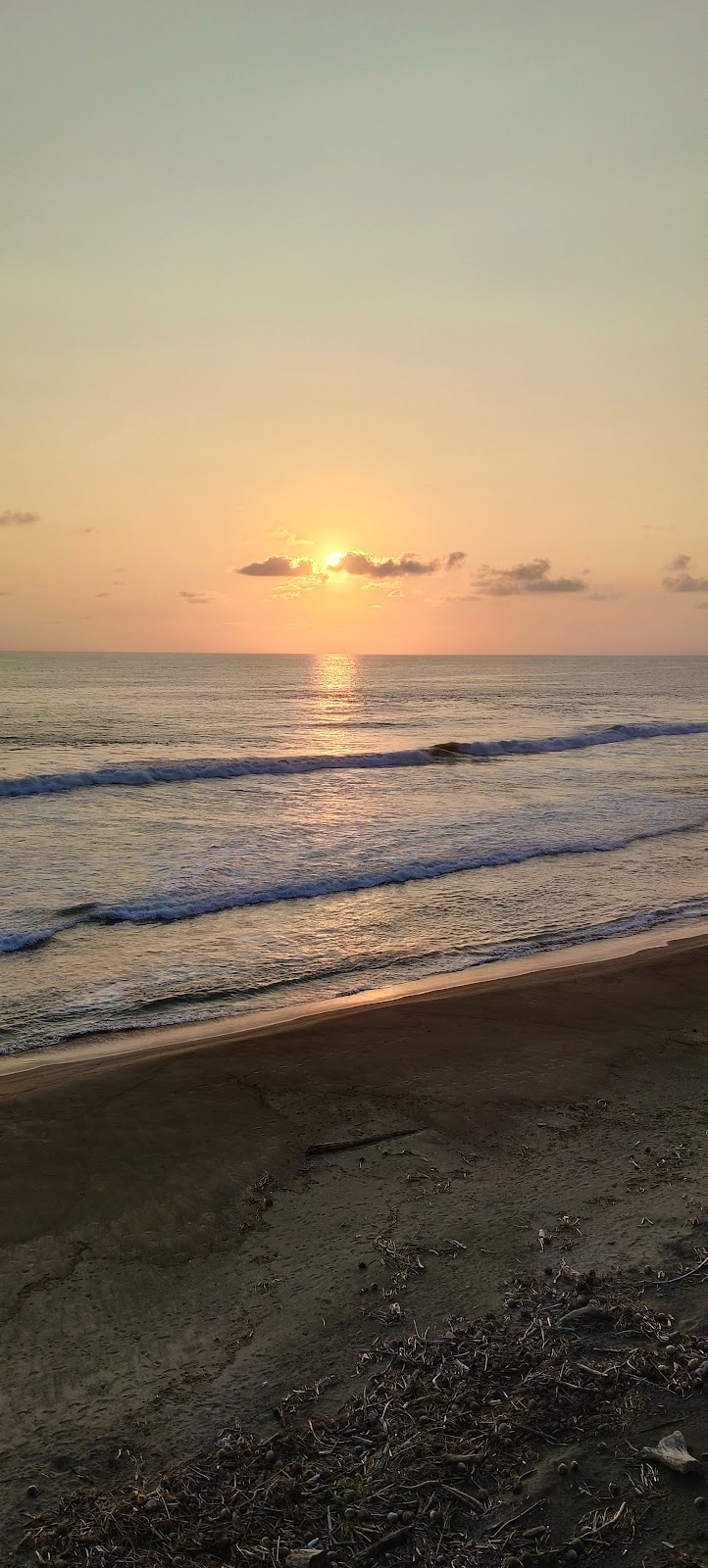 La barra
