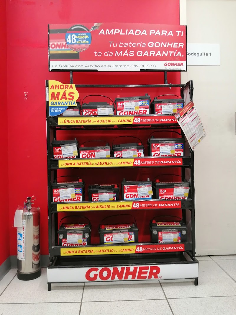 Coppel Las Palmeras