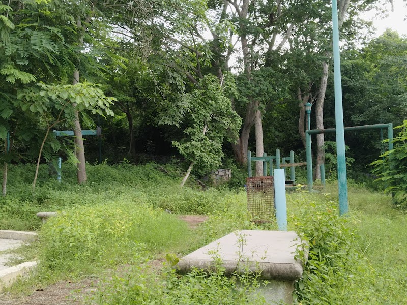 Parque de los Amates