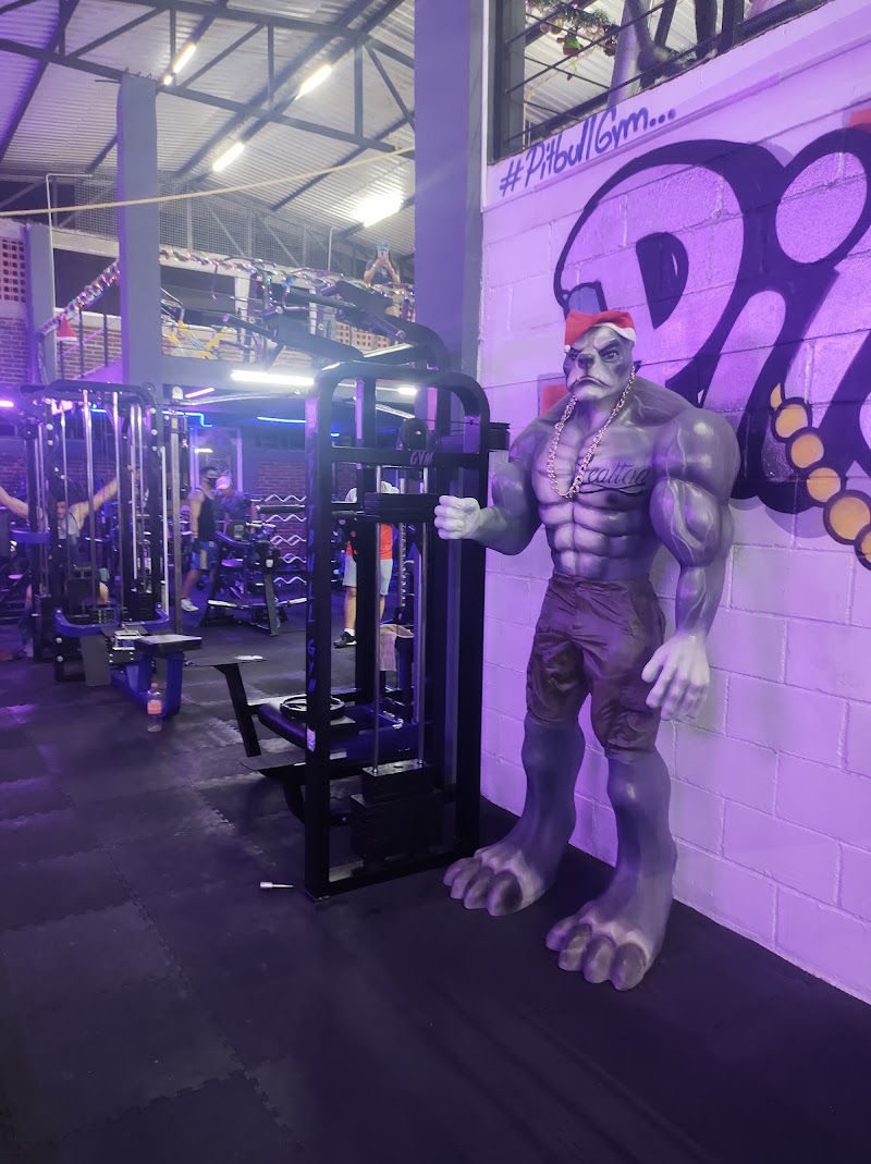 Pitbull Gym