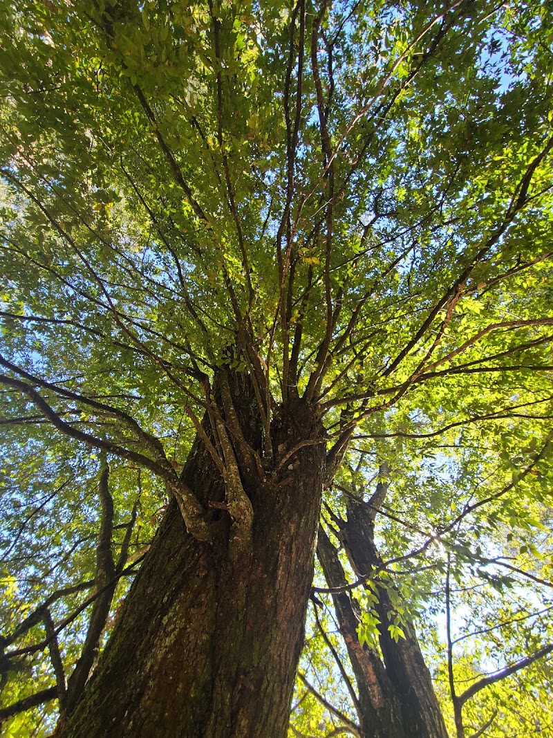Parque Ecológico Rancho El Romerito
