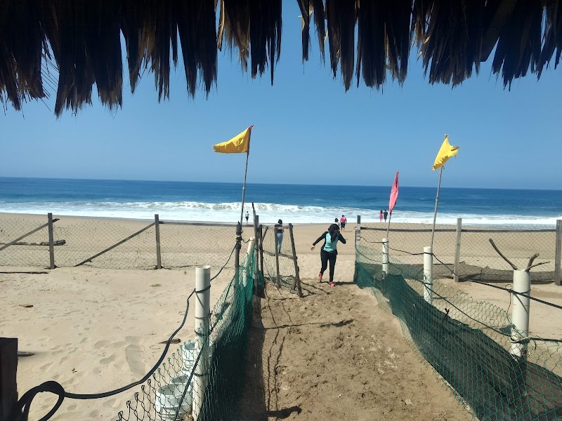 LAS PLAYAS CAMPO TORTUGUERO DE PRESERVACIÓN DE TORTUGAS MARINAS