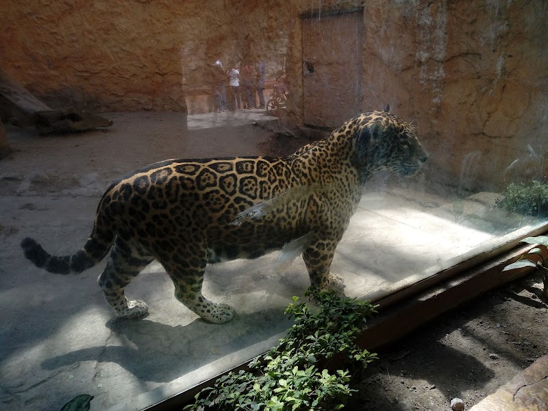 Zoológico Zoochilpan