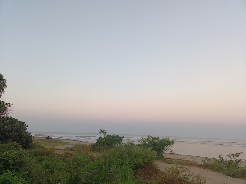 La barra