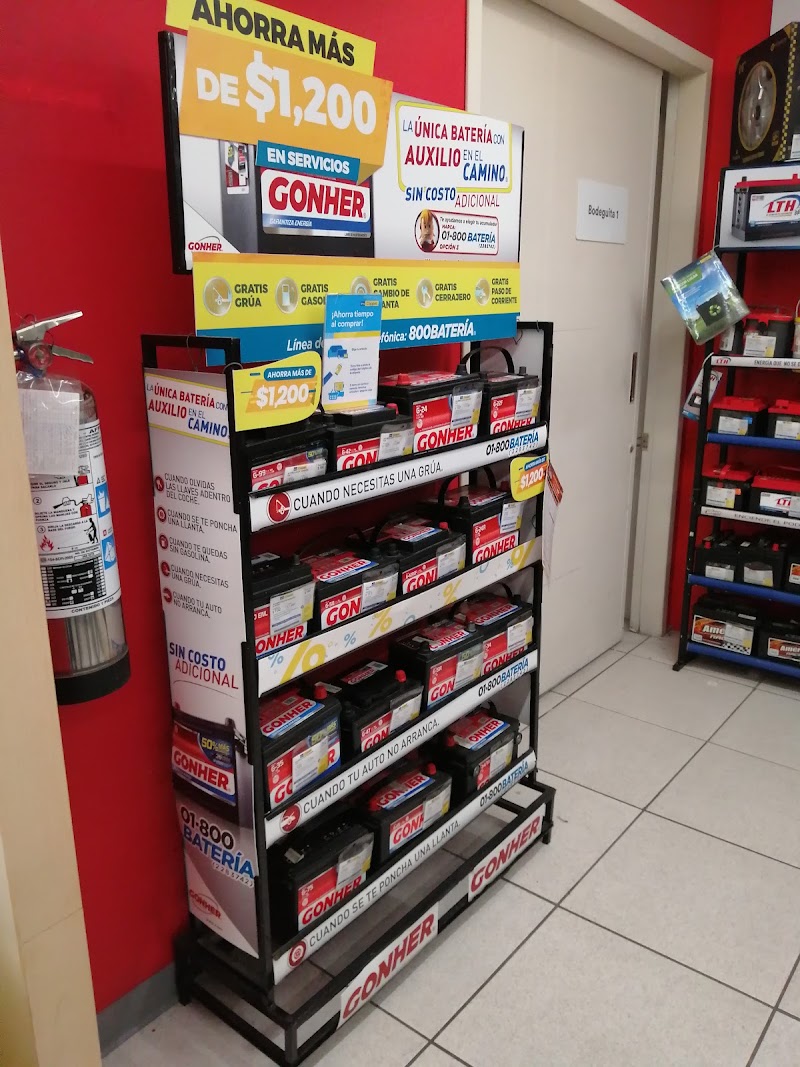 Coppel Las Palmeras