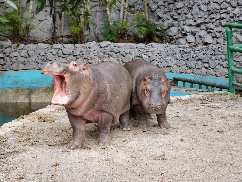 Zoológico Zoochilpan