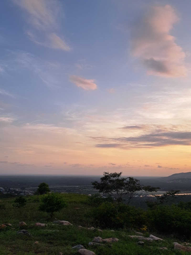 Coyuca Magico