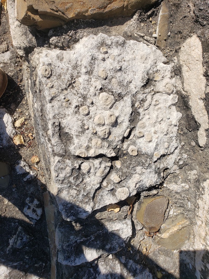 Zona arqueológica "La Organera", Xochipala