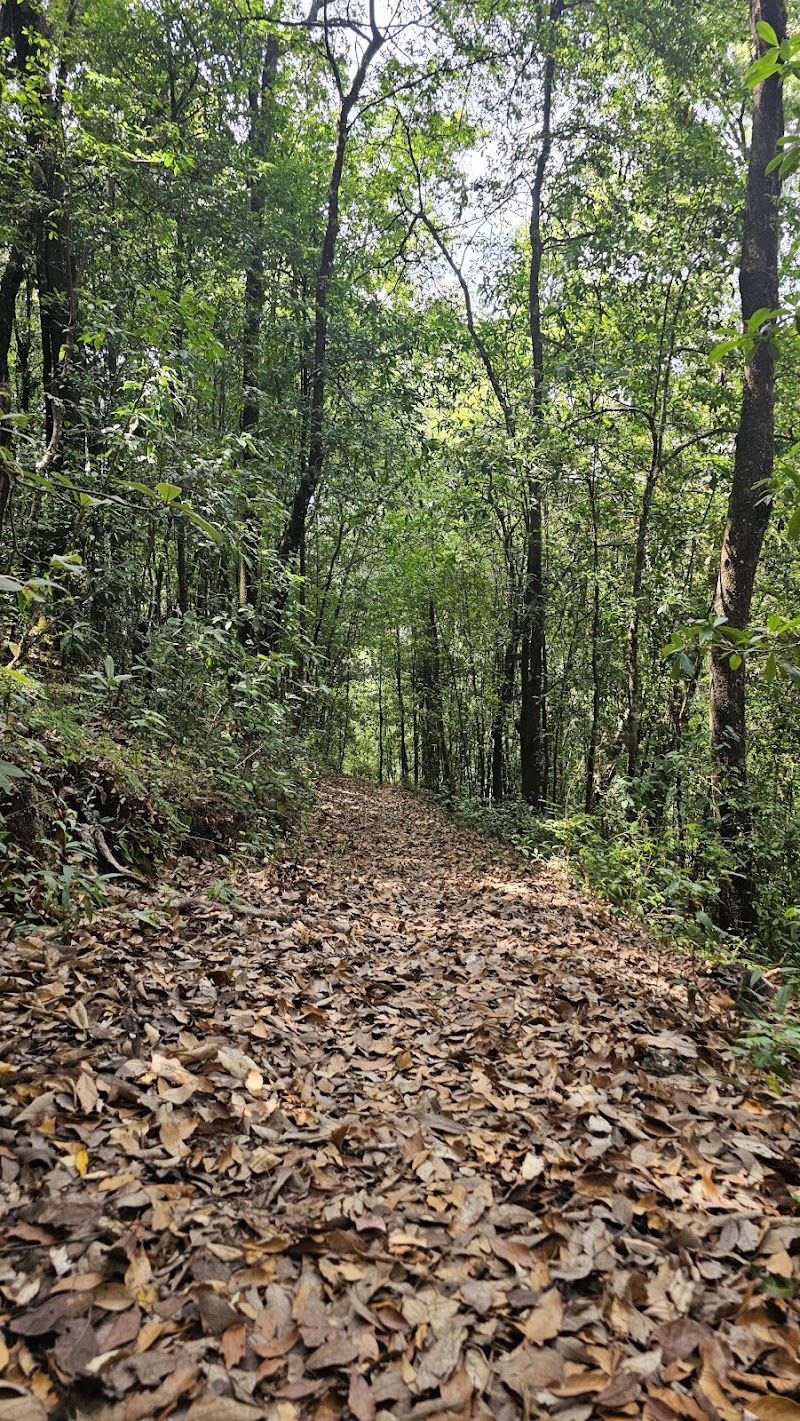 Parque Ecológico Rancho El Romerito