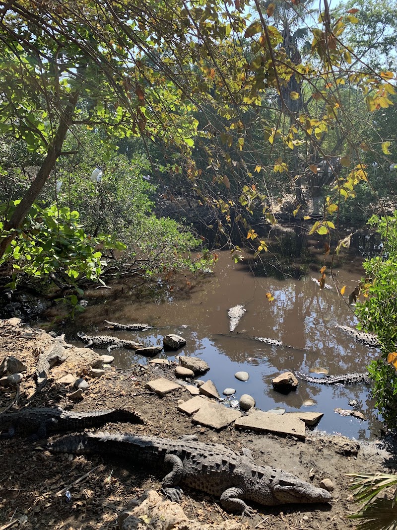 Cocodrilario Tamakún