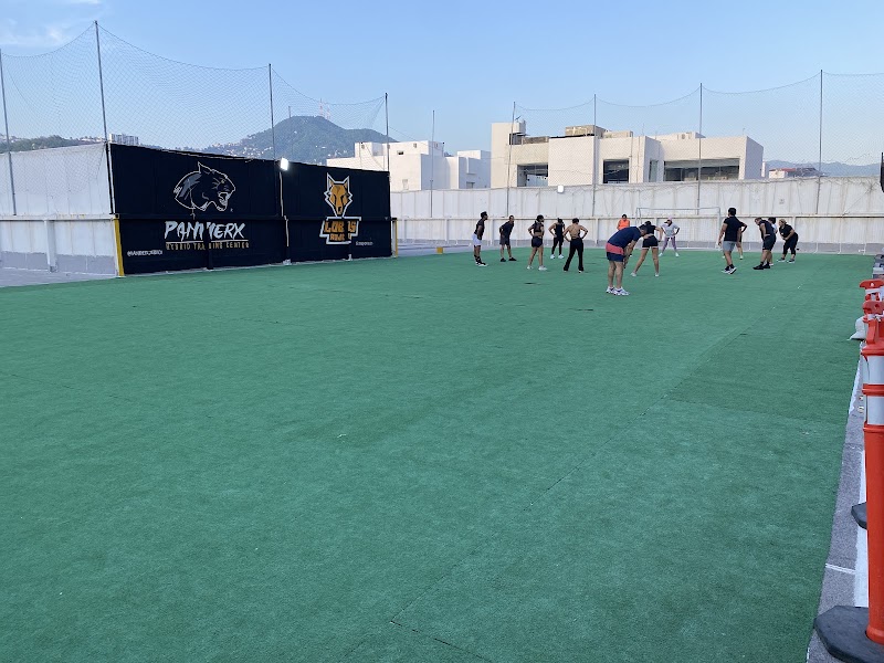 PantherX Terraza