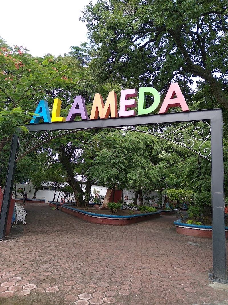 ALAMEDA DE IGUALA