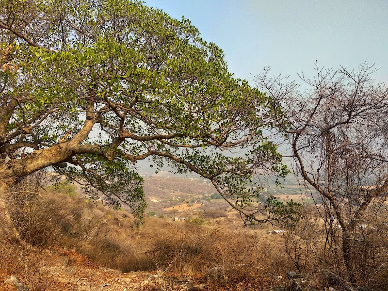 Parque Ecologico De Iguala