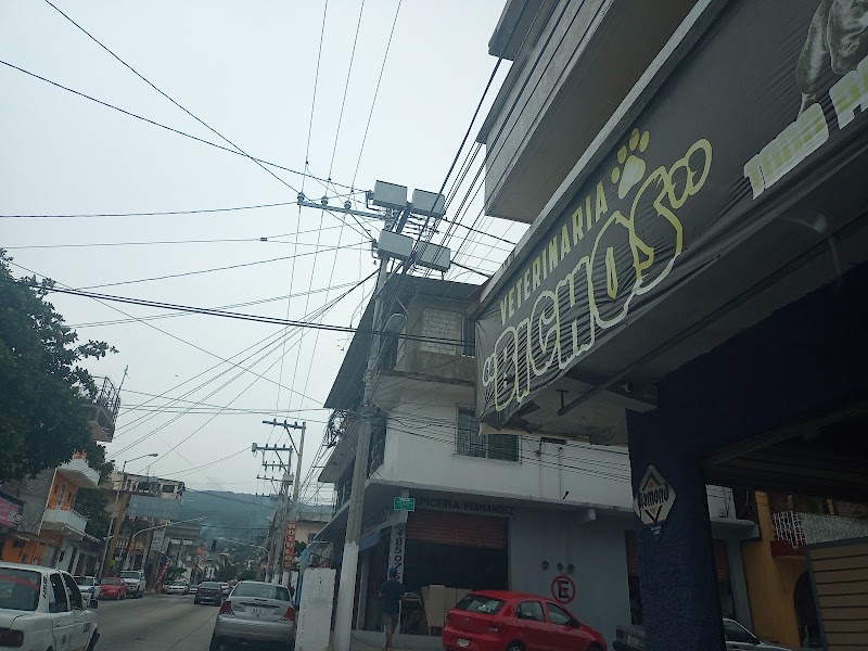 Clínica Veterinaria