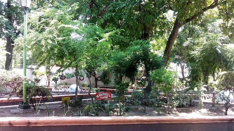 ALAMEDA DE IGUALA