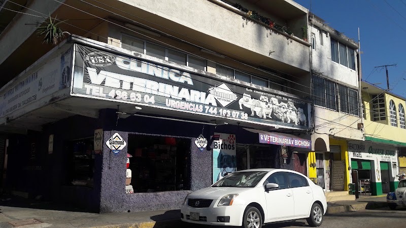 Clinica Veterinaria bichos