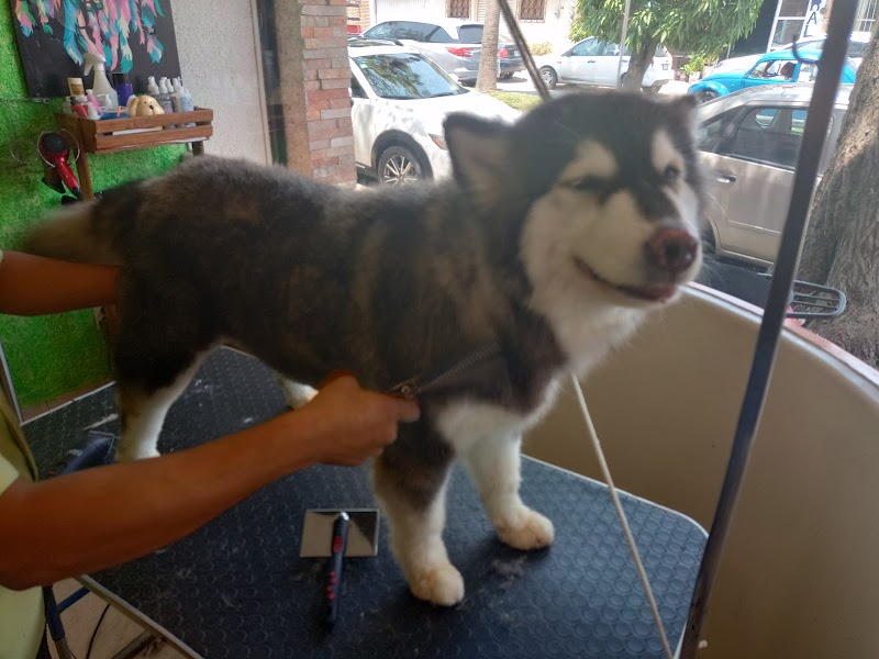 Veterinaria África