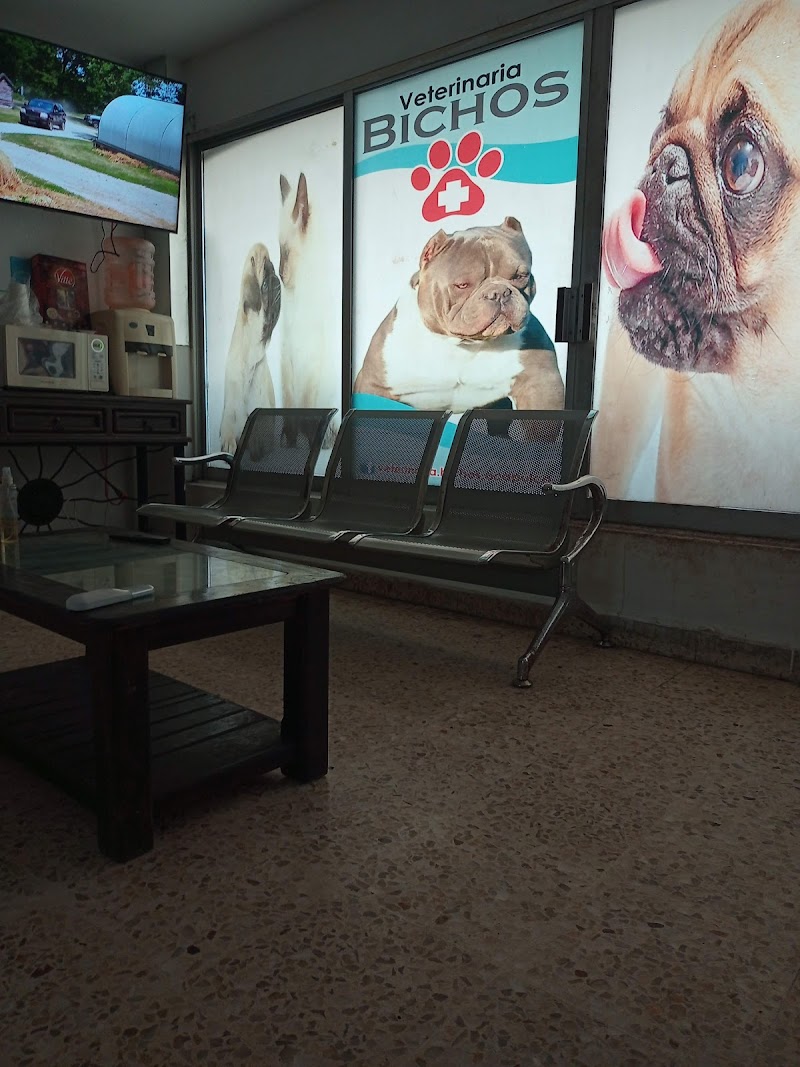 Clinica Veterinaria bichos