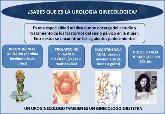 Dr. Vicente Manuel Miranda Sevilla, Ginecólogo