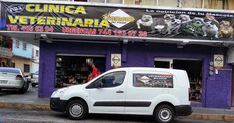 Clinica Veterinaria bichos