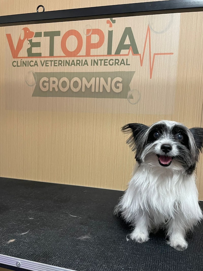 VETOPIA Clínica Veterinaria Integral