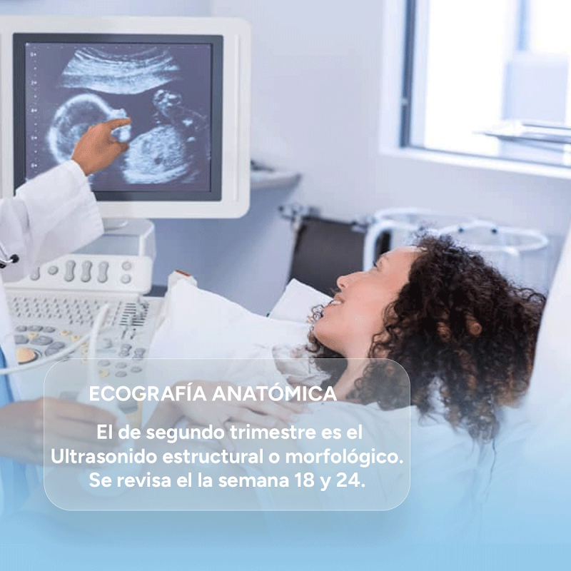 Ginecólogo en Acapulco - Dr. Juan de Dios Bautista