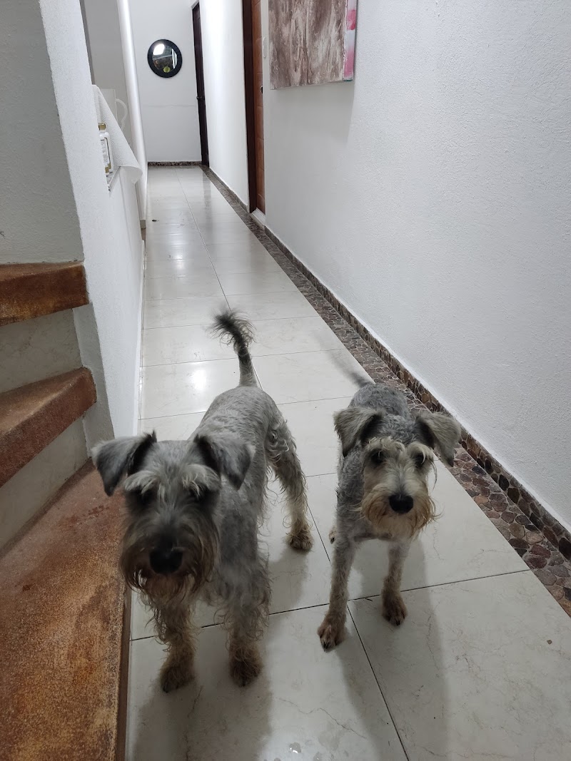 Veterinaria África