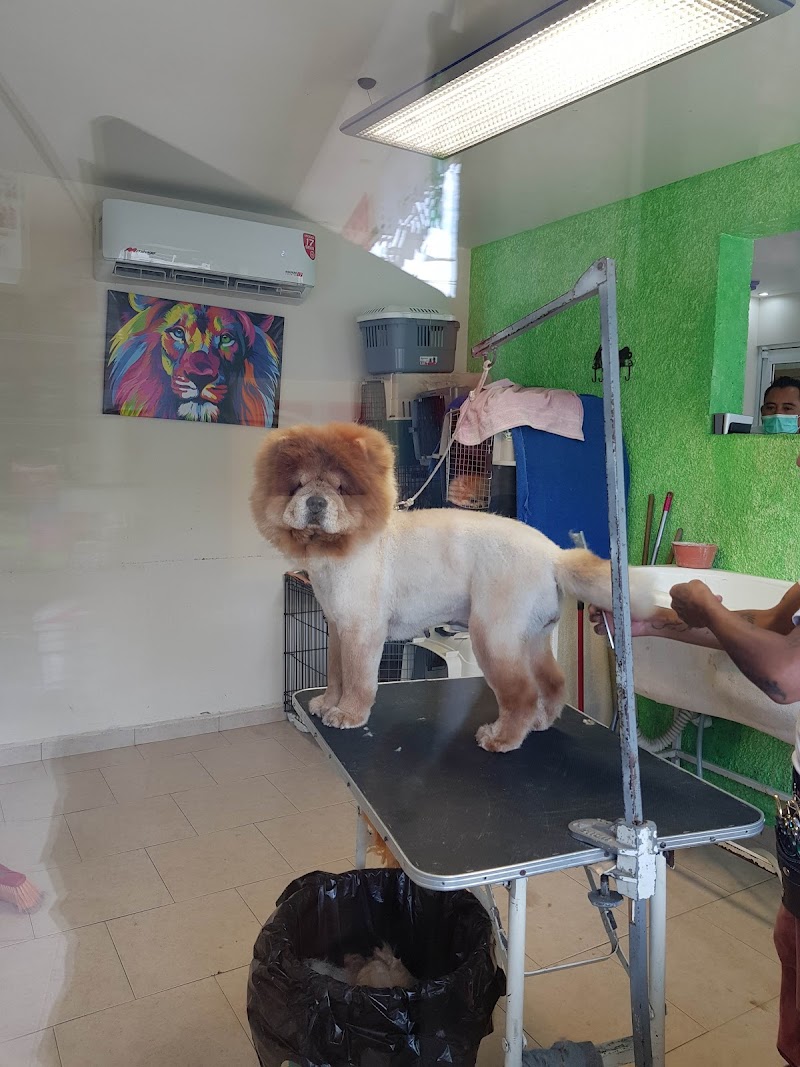 Veterinaria África
