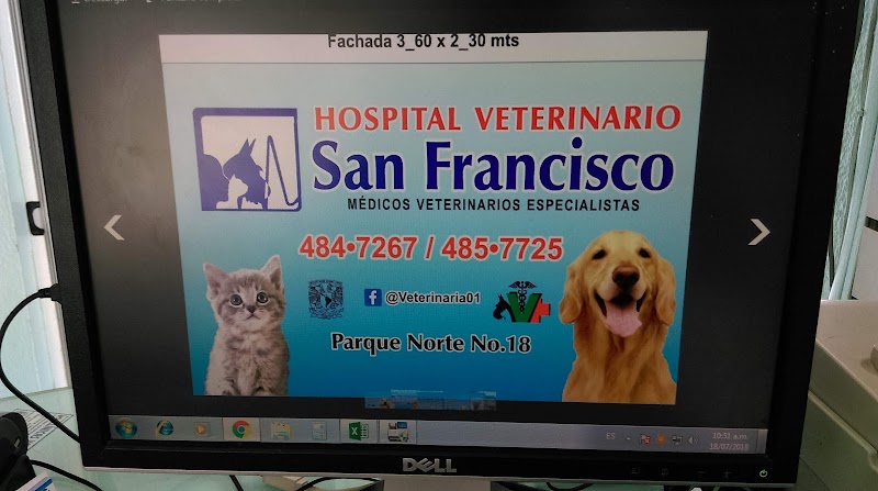 Hospital Veterinario San Francisco
