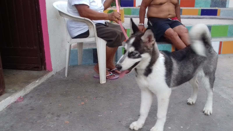 Hospital Veterinario San Andrés