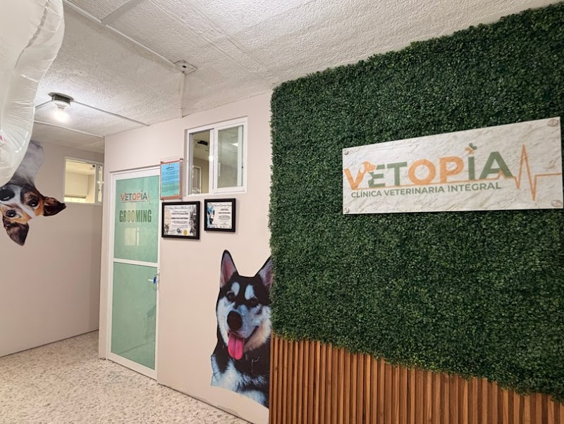 VETOPIA Clínica Veterinaria Integral