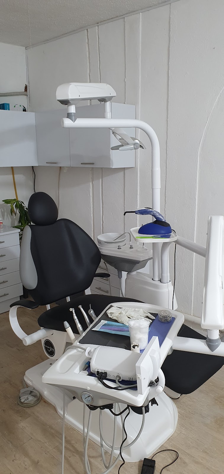 Dra Ami Acevedo Odontología estética y ortodoncia