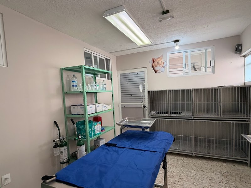 VETOPIA Clínica Veterinaria Integral