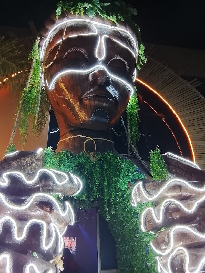 Shamana Pachuca